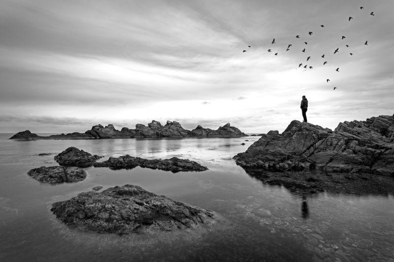 rocks, sea, birds, mood, man, lonley Loneliness photo preview