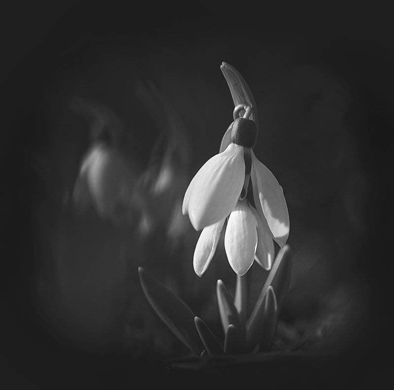 , Татьяна Аверина