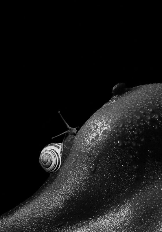 B&B(Beast and Beauty)photo preview