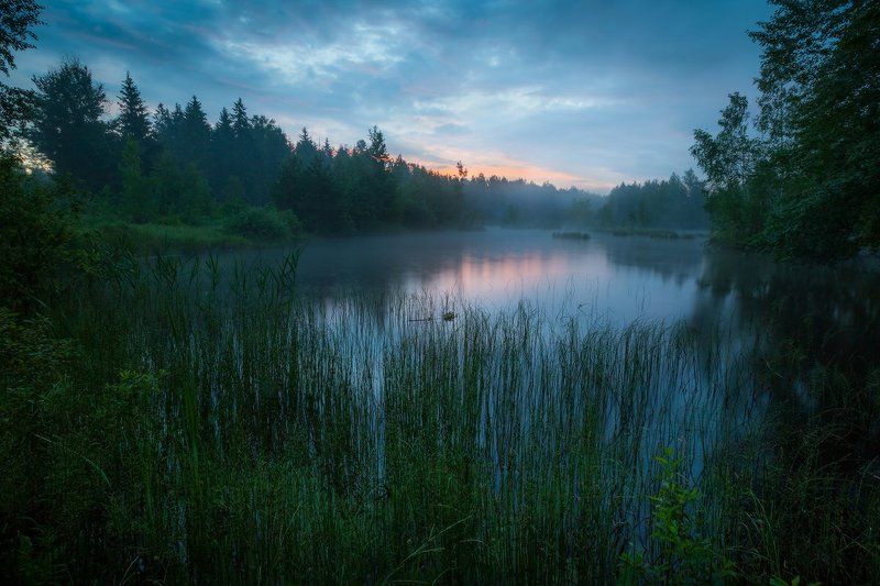 утро, лето, озеро, рассвет, лес Утреннее пробуждениеphoto preview