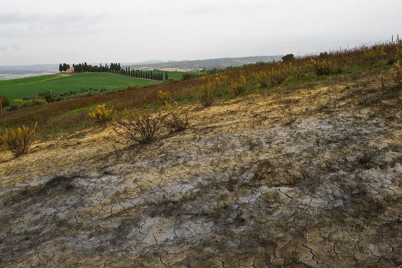 такая разная Тосканаphoto preview