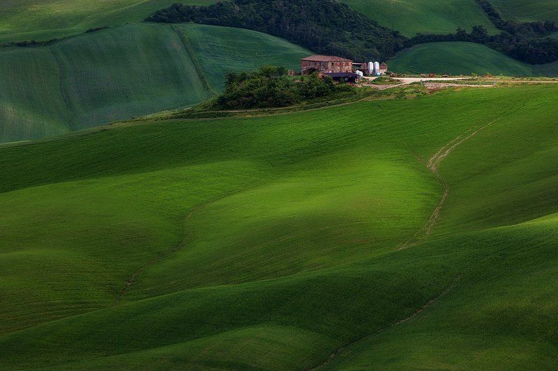тоскана, италия, tuscany, italy Тишина Тосканы.photo preview