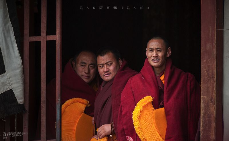 метод  будет  на  монахов  法会上的僧侣photo preview