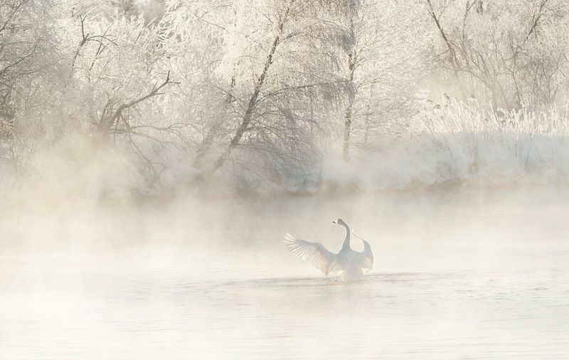 Приветствуя новый деньphoto preview