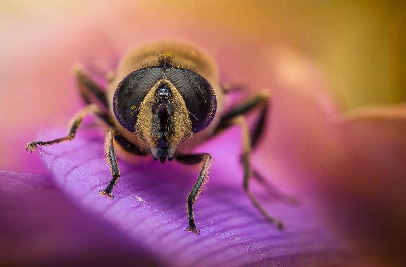 Маленький мирphoto preview