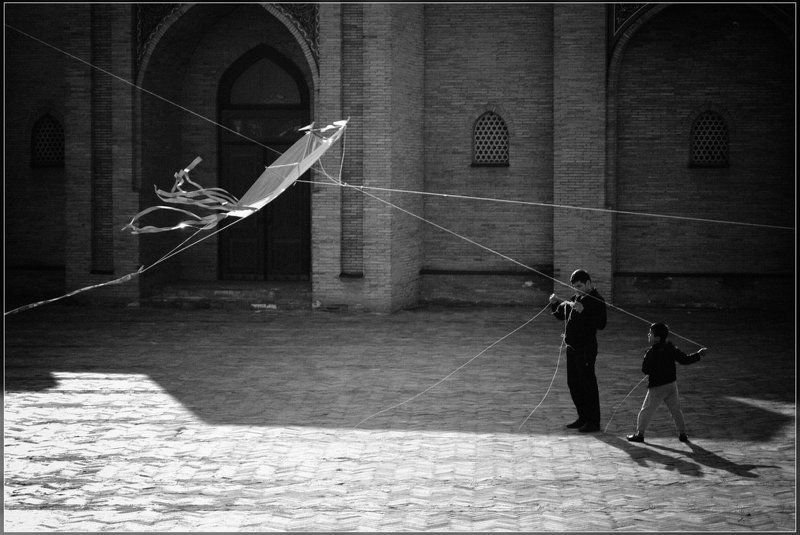 Аркан для змея фото превью