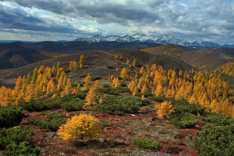 колыма, магаданская область, осень Колымская осеньphoto preview