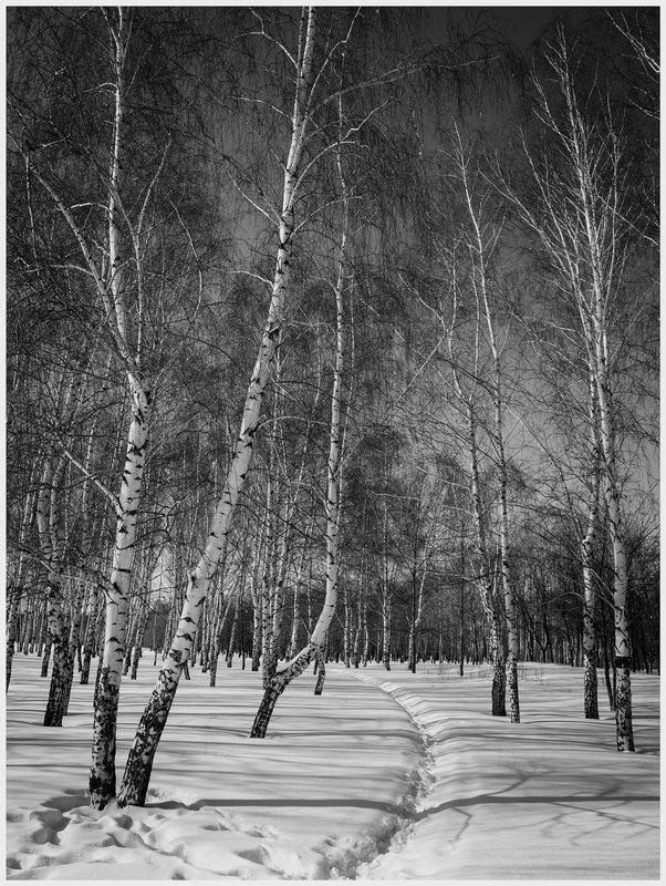 Мартовские пейзажи.photo preview