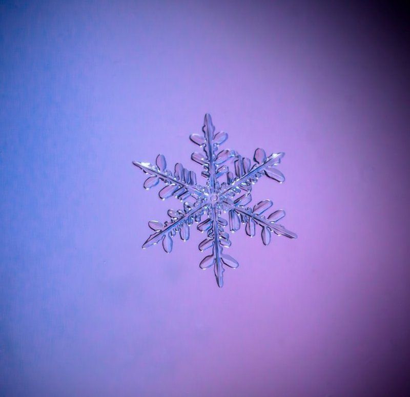 Зимние звезды...photo preview