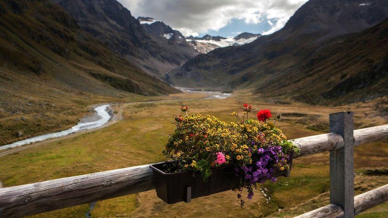 Для вас.photo preview