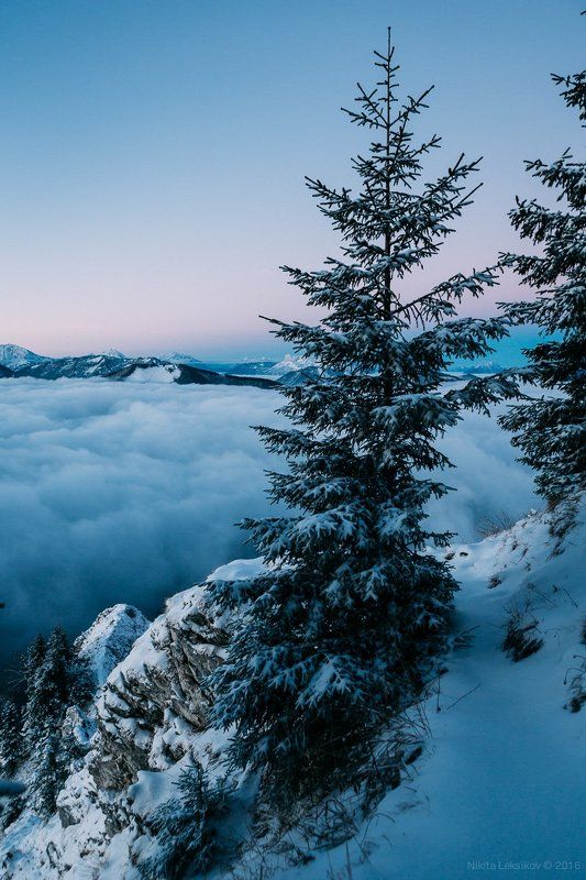 Австрия, горы, зима, Альпы, облака Тропинка в облакаphoto preview