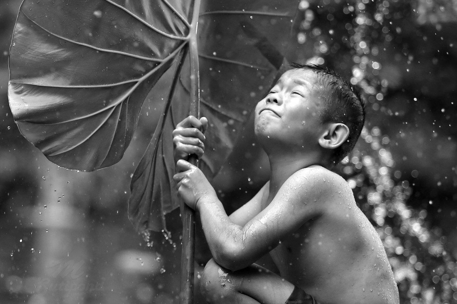 Refreshing,fresh,boy,child,asia,thai,people,portrait,, SUTIPORN SOMNAM