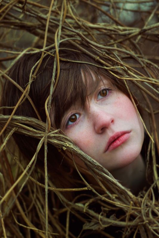 осеньphoto preview