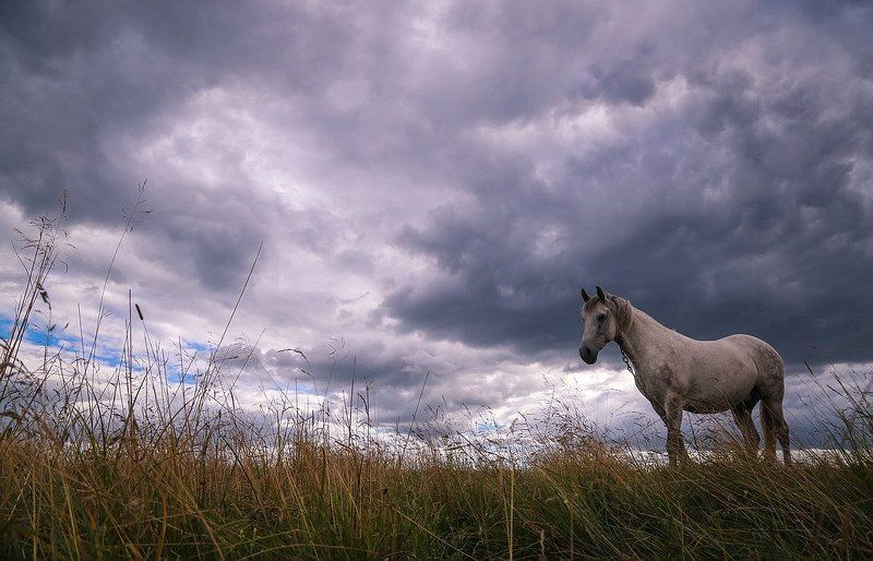 С тобой единение чувствую тесное..photo preview