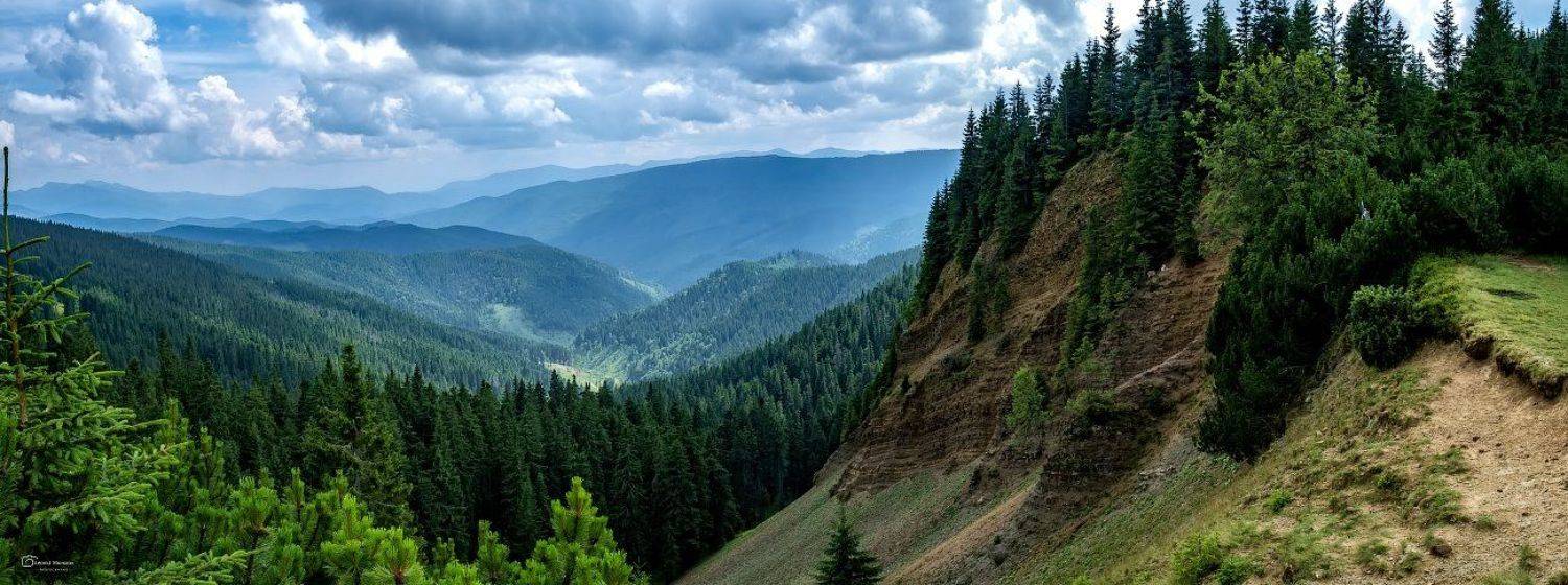 ущелье дьявола. Автор: Леонид Морозов , Леонид Морозов