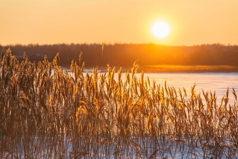 солнце красит нежным светомphoto preview