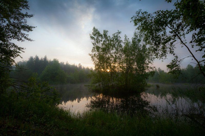 остров, утро, лето, озеро, тишина, природа, благодать Необитаемый островphoto preview