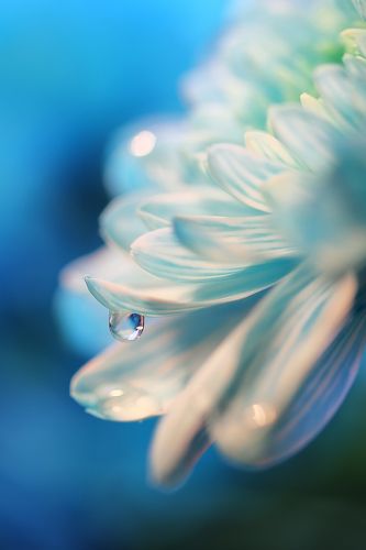 Весенняя свежесть