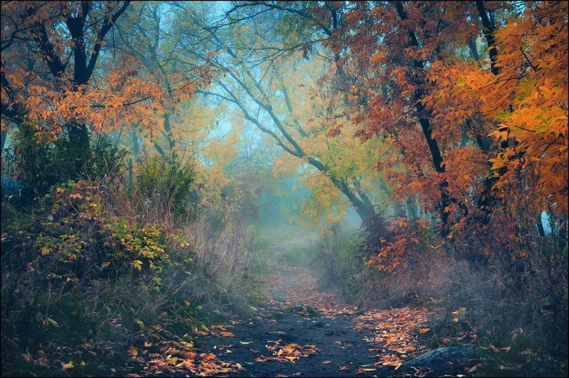 Тропа в осеньphoto preview