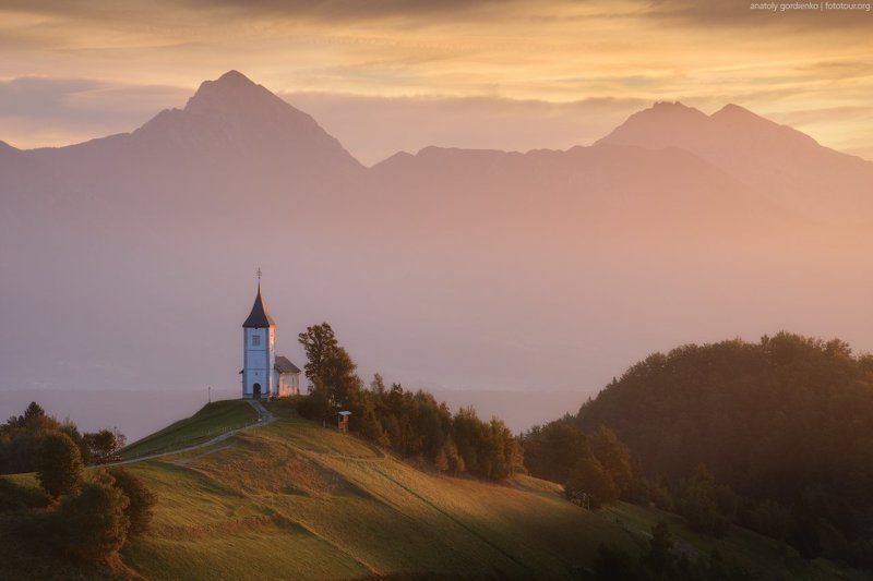 Ямникphoto preview