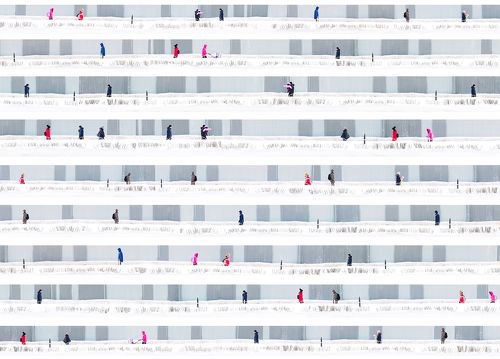 муравейник 1