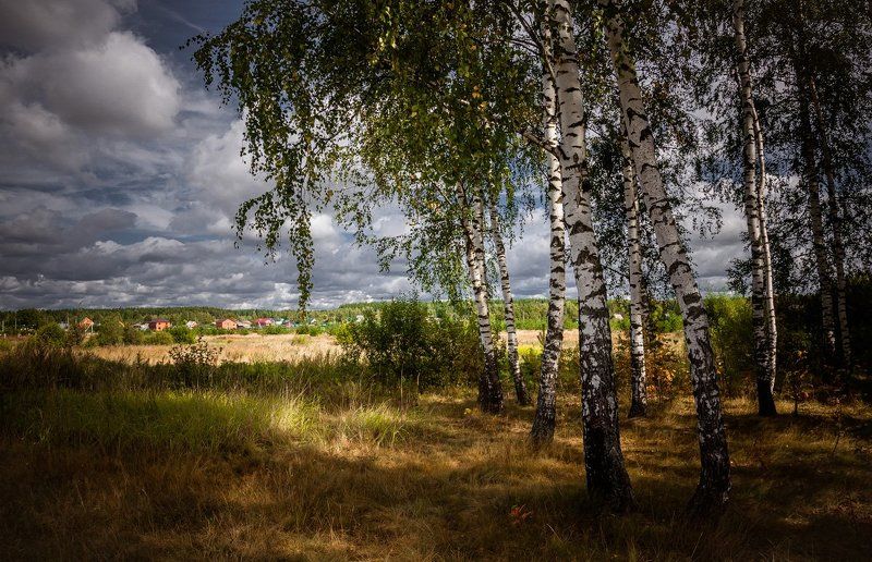 Подмосковный пейзажphoto preview