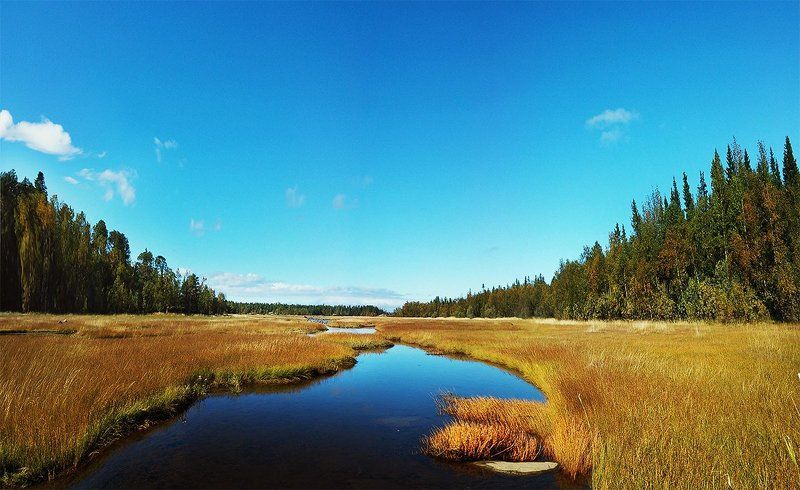 #nature #sky #sun #summer #beach #beautiful #pretty #sunset #sunrise #blue #flowers #night #tree #twilight #clouds #beauty #light #cloudporn #photooftheday #love #green #skylovers #dusk #weather #day #red #iphonesia #mothernature Summer tripphoto preview