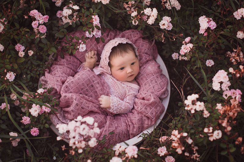 новорожденный, ребенок, малыш, newborn La vie en rosephoto preview