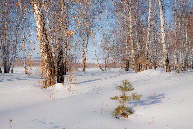 Осенне-зимний мартphoto preview