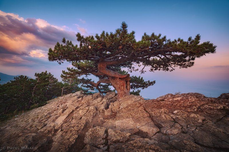 На краюphoto preview