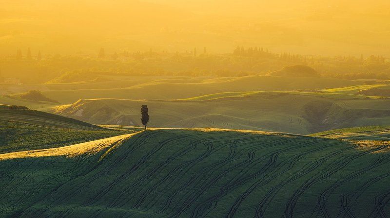 Toscanaphoto preview