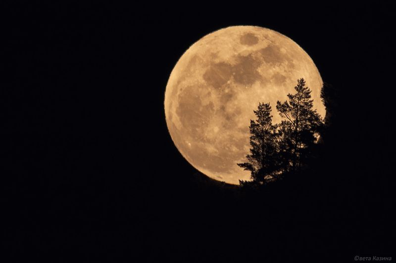 луна, полнолуние, ночь Полнолуние, март 2017.photo preview