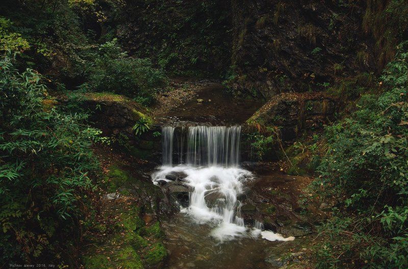 Италия, Альпы, горы,водопад, вода, лес, листва, зелень, Лесной водопадикphoto preview