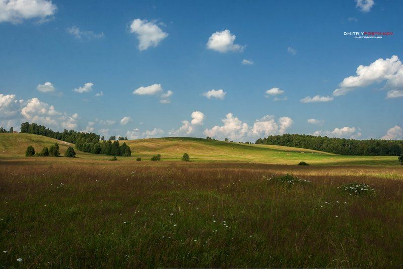 Лето, Пейзаж, Подмосковье, Поле, Природа, Россия, Сенокос Новая заставка для Windows;)photo preview