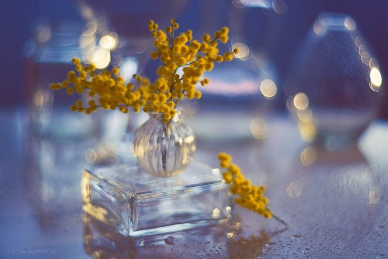 аромат весныphoto preview