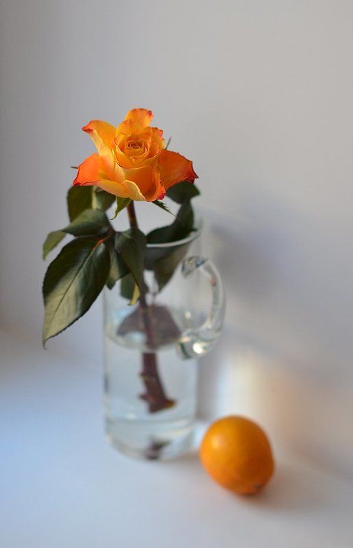 роза,графин,лемон photo preview