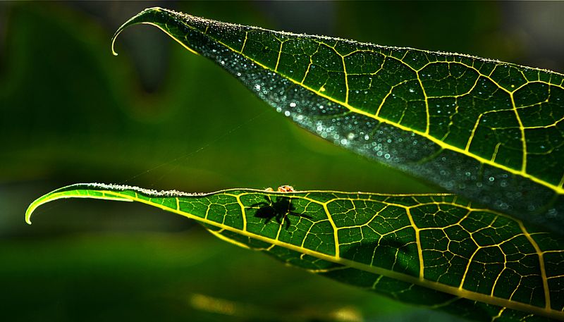 The Way i See the Worldphoto preview