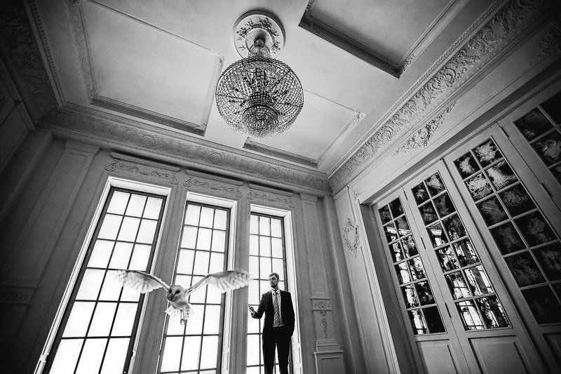 wedding, свадьба, сова Weddingphoto preview