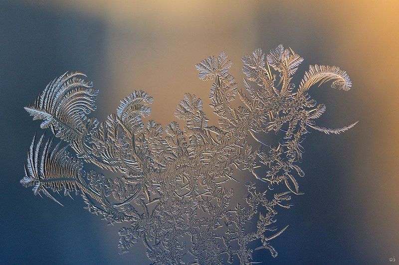 мороз, узоры, зима, окно Сказкаphoto preview