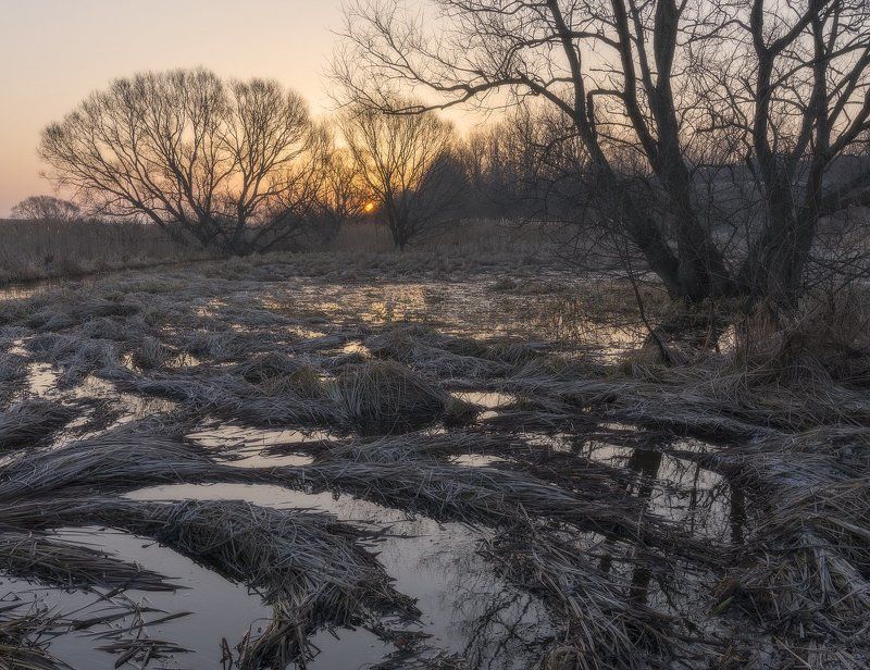 Утро в марте....photo preview