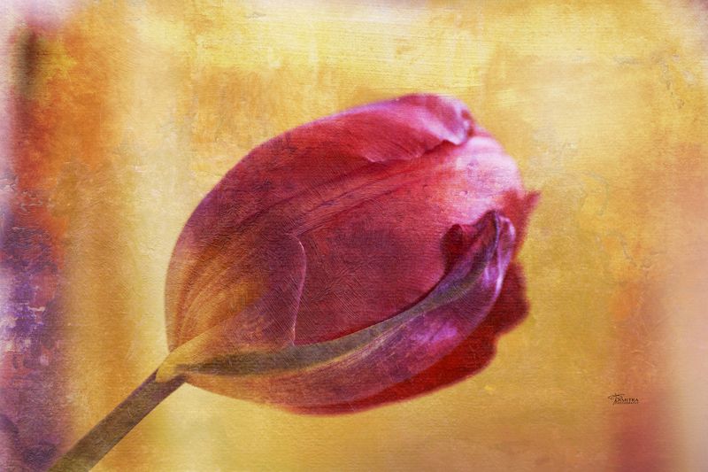 Огонь и любовьphoto preview