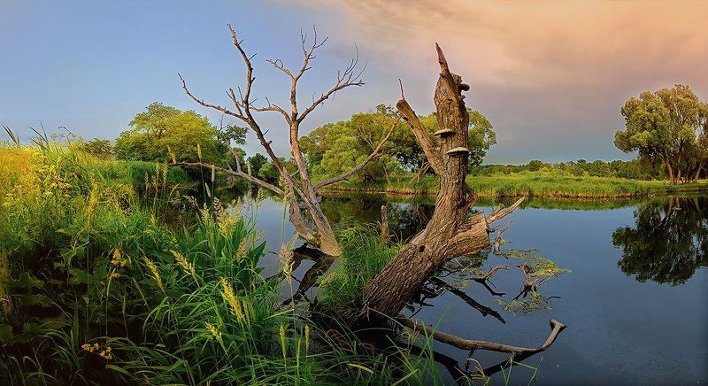 фотограф киев ***photo preview