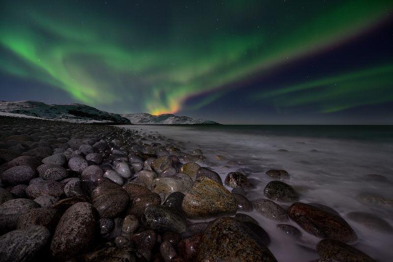 А Умки нет... :( фото превью