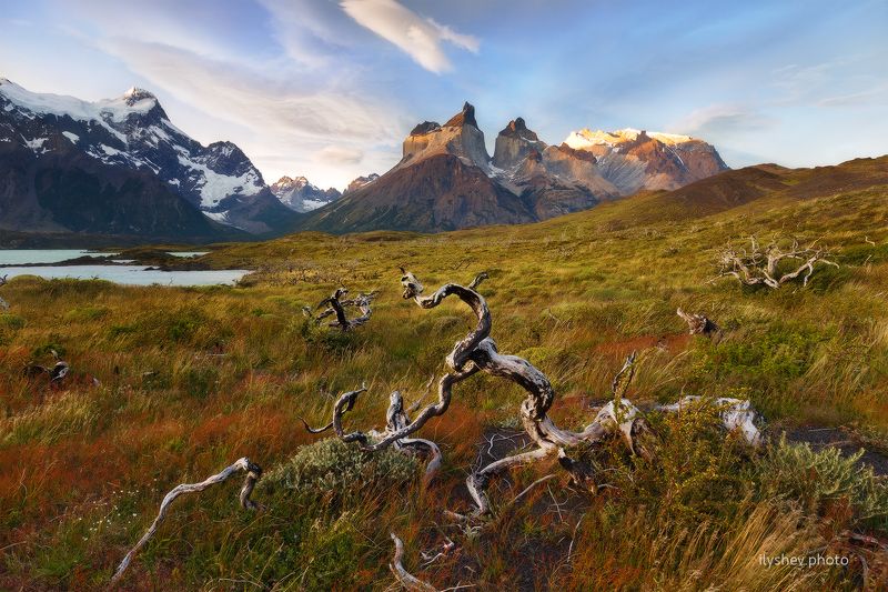 пейзаж, патагония, чили, природа, закат, горы, торрес дель пайне патагонияphoto preview