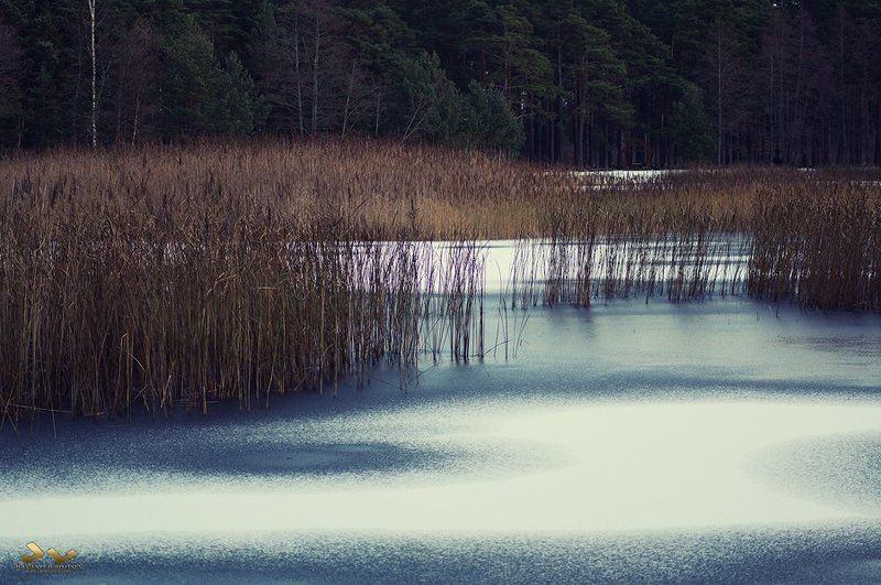 Lake, ice, forest Lakephoto preview