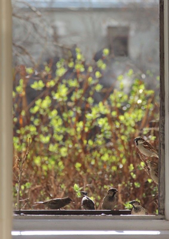 Мартphoto preview