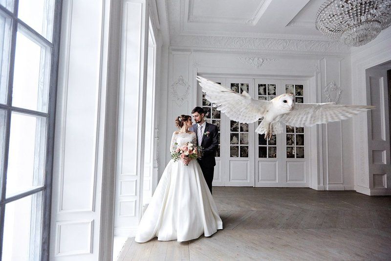 wedding, свадьба, сова Weddingphoto preview
