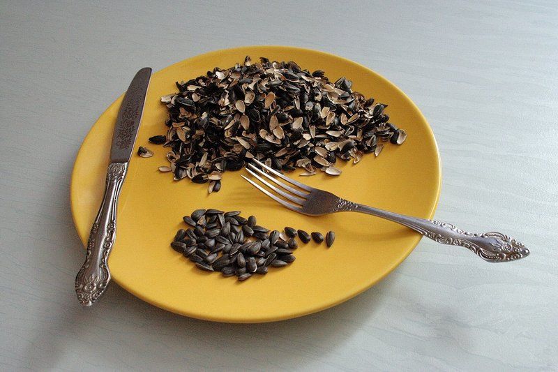 Завтрак бедного интеллигентаphoto preview