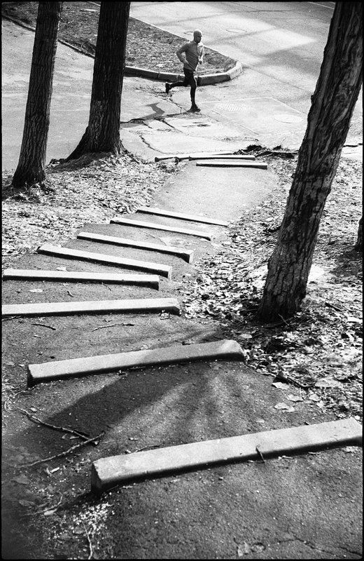 life ***photo preview