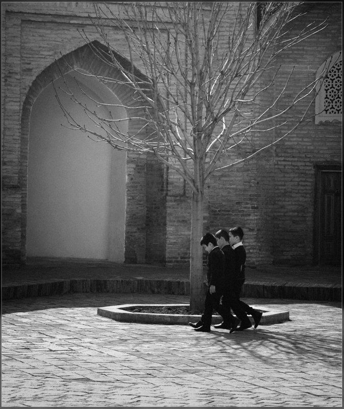 Серьезные намерения фото превью